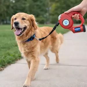 5M 디자인 반려견 자동 리드줄