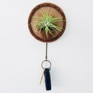 [오피스스쿨] 이오난사 1조걸이 콜크클레이 화분 만들기 5인세트 DIY 작품만들기 다육이 식물키우기