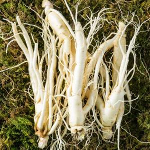 금산 인삼 세척 난발삼 중 375g 5년근 씻은 삼 진공포장 인삼차 뿌리많은 국산 국내산 수삼 원삼