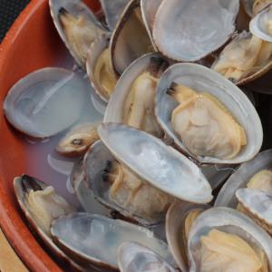 육수 피바지락 500g 찐한육수가 있는 모래없는 특상품 세척필요없이 바로 사용가능