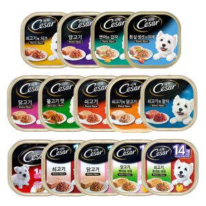 시저 주식캔 습식 100g 강아지간식