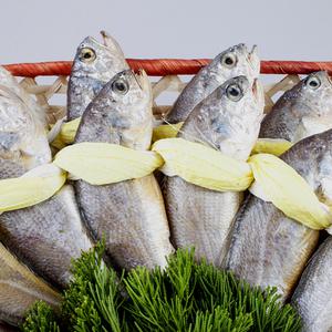 영광 법성포 참굴비 가정용세트 20미