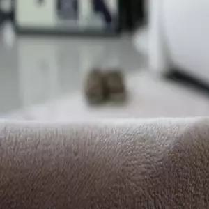 [텐바이텐]앙고라 터치미 극세사 코코아 카페트 러그200X300