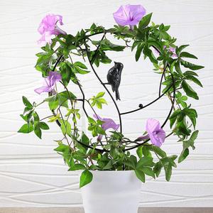 넝쿨 식물 지지대 지주대 호야 아이비 스킨답서스 장미 덩굴 화초 화분 시렁 오벨리스크 [오디가 ODIGA]