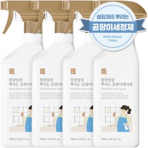 쉼표365 깔끔말끔 뿌리는 곰팡이제거제 750ml 2개입 x 2세트 대용량 베란다 벽 화장실 욕실 실리콘 벽지