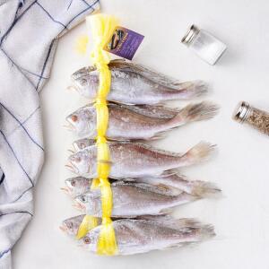 긴가이석태/염침조기 1.6kg 10마리