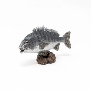 (일본)FAVORITE AF-203 쿠로다이 미니모델 물고기 감성돔 피규어 장식품