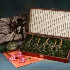 산양산삼 7년근 5주세트 [10+1행사]