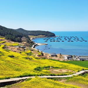 [완도] 부산출발 청산도 해남 1박2일 국내 테마
