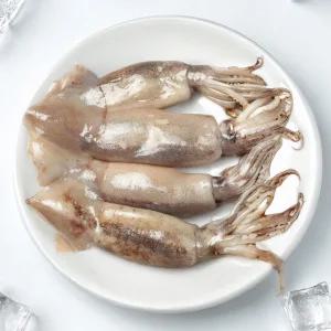 손질 오징어 파지 파품 1kg 마리수 랜덤