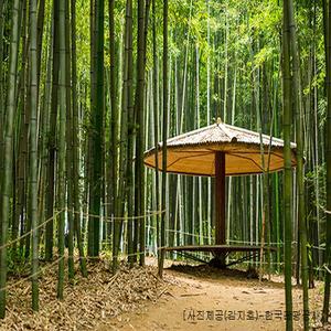 [KTX-1박]전남 대표 관광지! 담양&순천으로 떠나는 별미여행