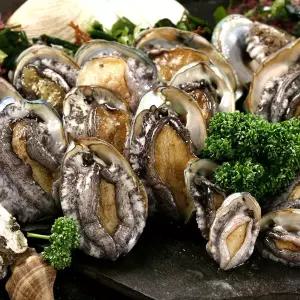 [롯데백화점]인정식탁 청정바다엔 완도 한입 꼬마전복 500g 1팩 (25-30미) (완도직송,산소포장)