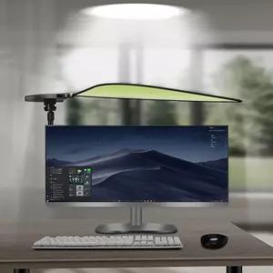 햇빛 사무실 컴퓨터 휴대용 나뭇잎 사생활보호 역광