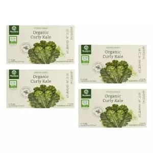 베네팜 유기농 곱슬케일 컬리케일분말 100포 (4박스) 동결건조