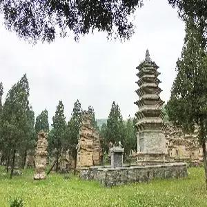 서안/낙양/운대산/화산 6일 #소림사 #용문석굴 #쓰루가이드 #홍석협 #담폭협 #화산북봉 #왕복케이블카 #병마용갱 #화청지 #한식포함