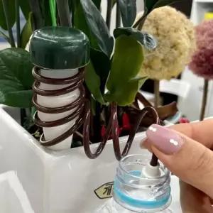 자동 급수기 화분 물조리개 식물 물주기 2개 (WFK5Y1M)