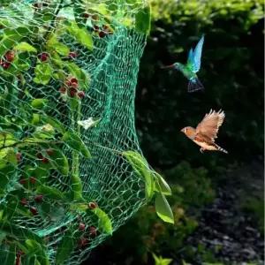 새그물 방조망 농작물 2x5M 보호용 참새망 새망 울타리망 블루베리망 새그물망 참새그물망