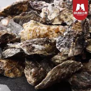 [마녀바스켓] 통영 석화 각굴 5kg
