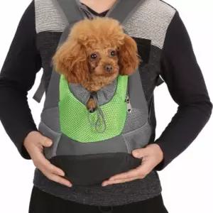 그린 강아지앞가방 강아지프론트백 반려견앞가방 반려견산책가방 강아지캥거루가방
