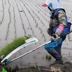 전동 이앙기 모내기 소형 트랙터 파종기 한줄 농사 농기계