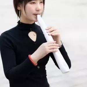 전자트럼펫 플루트 트럼펫 나팔 부품 일렉트릭 스탠다드