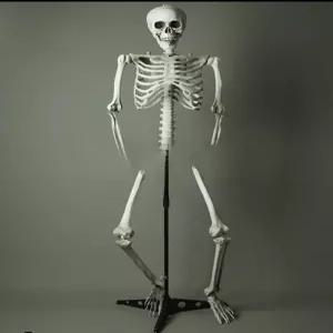 할로윈 묘비 해골뼈 공포연극 뱀파이어 해골 인테리어 책상