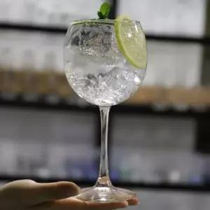 플로란스 샹그릴라 레드와인잔 1개 (WFK99IA)