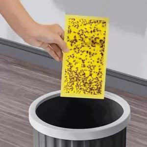 초파리트랩 양면 끈끈이 20x25cm 10P/모기 나방 벌레 초파리없애는법