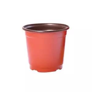 대형 일회용 플라스틱 화분 모종 식물 5개 (WFKA8DT)