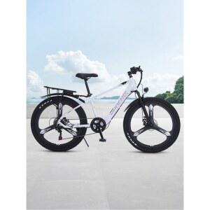 26인치 산악 풀샥 EMTB 자토바이 전기자전거 소프트