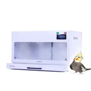 앵무새 육추기 온도조절 조절 단열박스 부스 모이통 메쉬