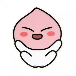 카카오프렌즈 형태 마우스패드 어피치 개(1개입)