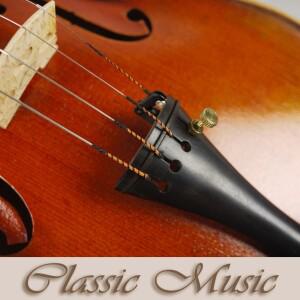 바이올린 미디엄 게이지 풀 세트 악기 부품 액세서리용 오페라