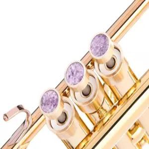 야마하(모든 YTR) 스토비 샤겔 캐롤 브라스 및 피데스 트럼펫 야마하 플루겔혼 631/731 코넷 모델(생황동