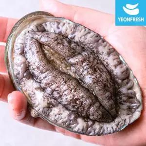 [선물포장] 완도활전복 1kg 5-6미 (미당167g내외)