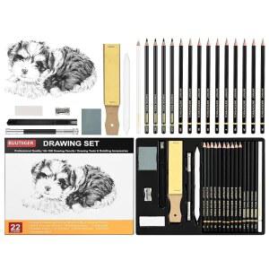 22피스 드로잉 및 스케치 세트 프로 아티스트 연필 키트 - 흑연 연필(6H-10B), 흑백 스틱, 사실적인 음영 처리를 위한 스텀프, 디테일 작업 연말 선물