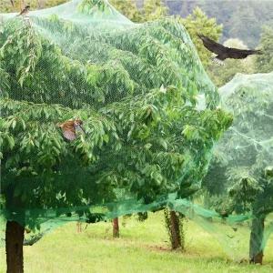 농작물 보호용 새그물망 2x10M 참새망 새망 울타리망 방조망 참새그물망