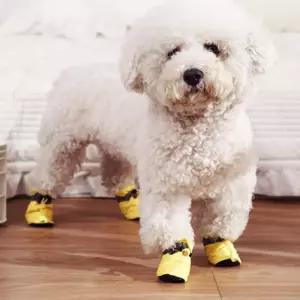 강아지 신발 애견 양말 반려동물 부츠 방한 털 외출용품 슈즈 산