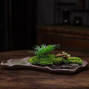 분재 받침대 물 고급 장식 흡수 분재받침대 대리석 QC3465D 트레이 거치대