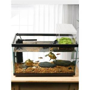 거북이 어항 쉼터 번식 수영 검정색122x244x50 사육장 일체형 물고기 동굴 배스