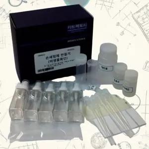 학교 과학 수업키트 세균검사 손세정제 만들기 DIY 5인 세트 과학놀이 첫과학