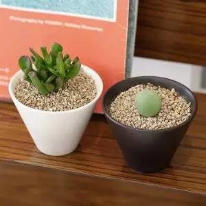 다육이미니화분 도자기 선물 다육이화분 키트 키우기쉬운 다육이화분세트 집들이 식물키우기 다육이 플랜