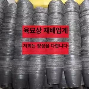 대용량 비닐포트 모종 묘목 대량 용기