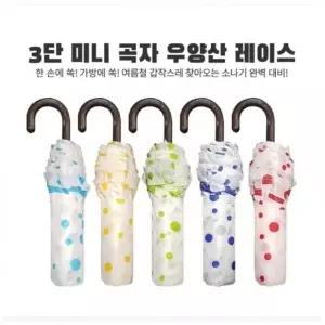 3단곡자 프리미엄 레이스 우양산 양산 장우산  선물용우산