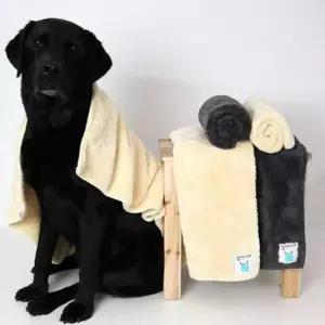 [콩심팥심]목욕 타올 수건 펫 고양이 소형 초극세사 강아지 다크