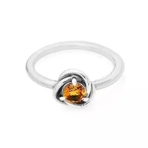 여성 11월 탄생석 허니 이터니티 서클 실버 반지(192993C11)