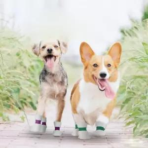 강아지 일회용 신발 부직포 밴드 부츠 애견 슈즈