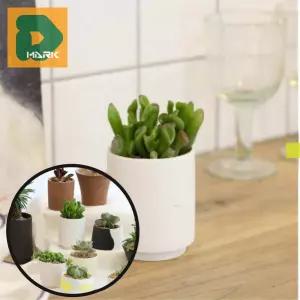감성적인 화분 스탠딩화분 인테리어 플랜테리어 식물 도자기 키우기 식물 반려 키트 소품 우드 거실 다육