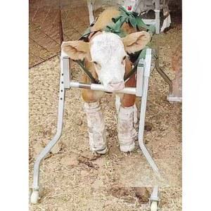 송아지보행기 기립대 어린소 새끼 농장 스탠드 기립 걸음마 리프팅 걷기연습 보행기 축산용
