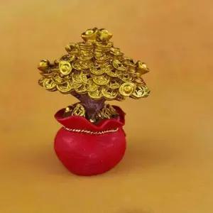 돈나무 SEY409Z0 재업 집들이 이사 인테리어 장식 선물